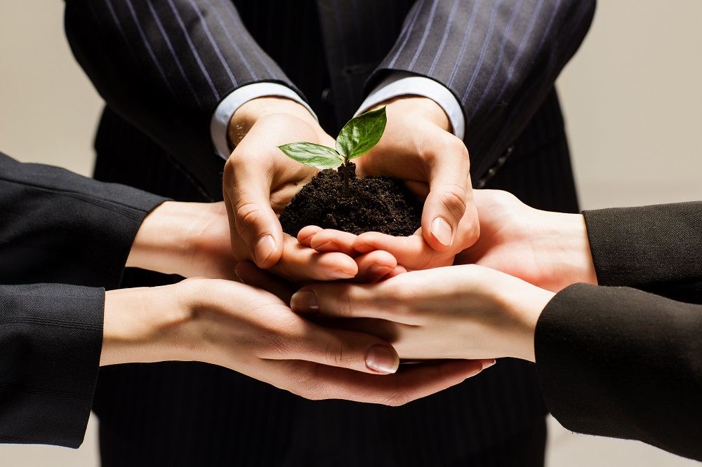 Partners holding a young seedling together